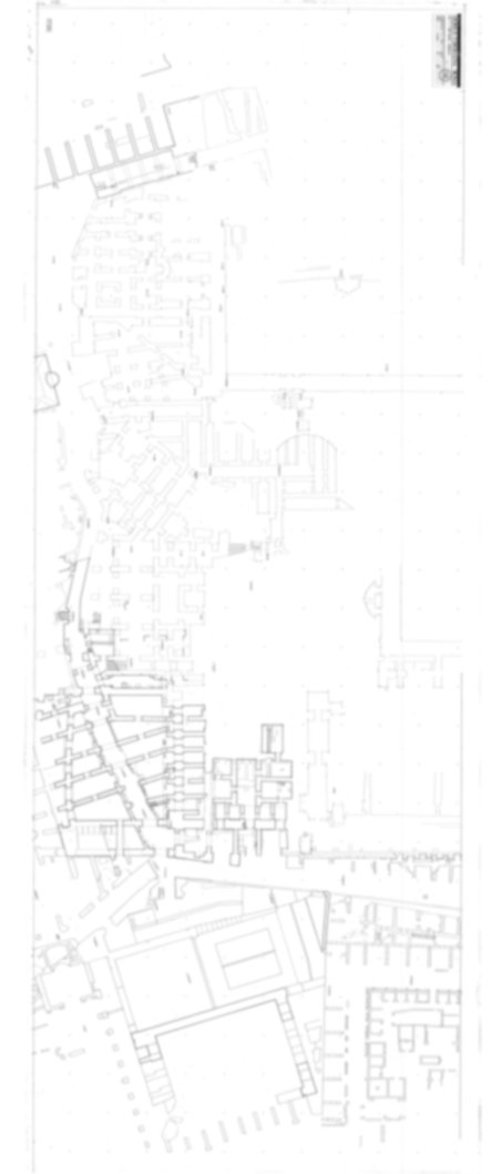 Roma, Palatino. Domus Tiberiana