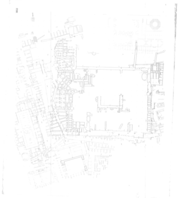Roma, Palatino. Domus Tiberiana