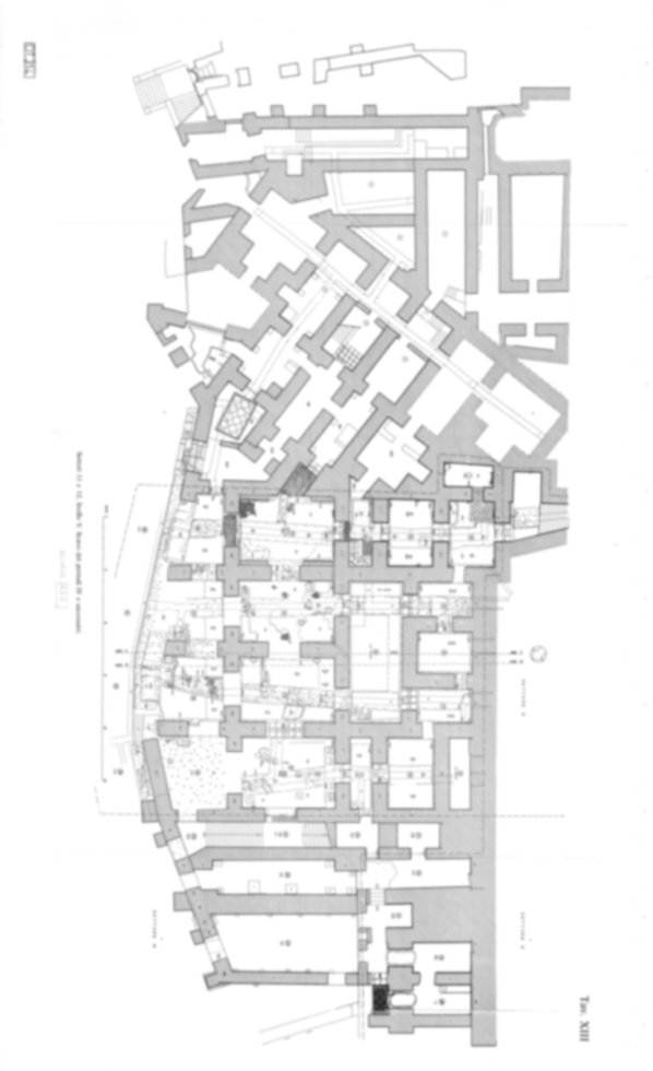 Roma, Palatino. Domus Tiberiana - Settore 11, 12