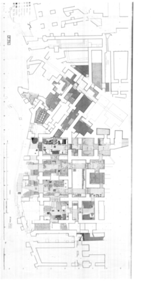 Roma, Palatino. Domus Tiberiana - Settore 11, 12