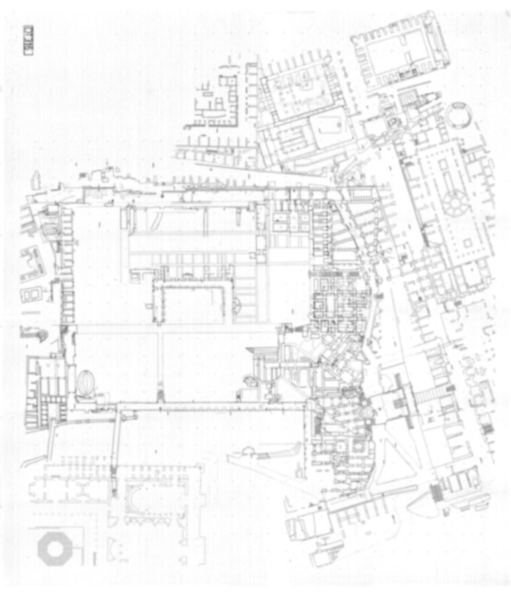 DT316 - Roma, Palatino. Domus Tiberiana