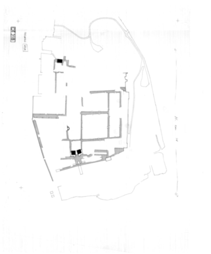 Roma, Palatino. Domus Tiberiana; Orti Farnesiani