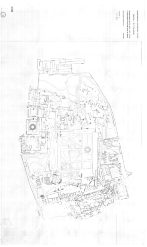 Roma, Palatino. Domus Tiberiana; Orti Farnesiani