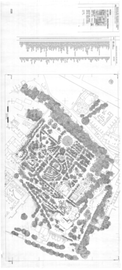 Roma, Palatino. Domus Tiberiana; Orti Farnesiani