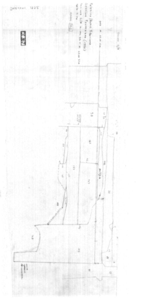 Roma, Palatino. Domus Tiberiana; Bastione Farnesiano