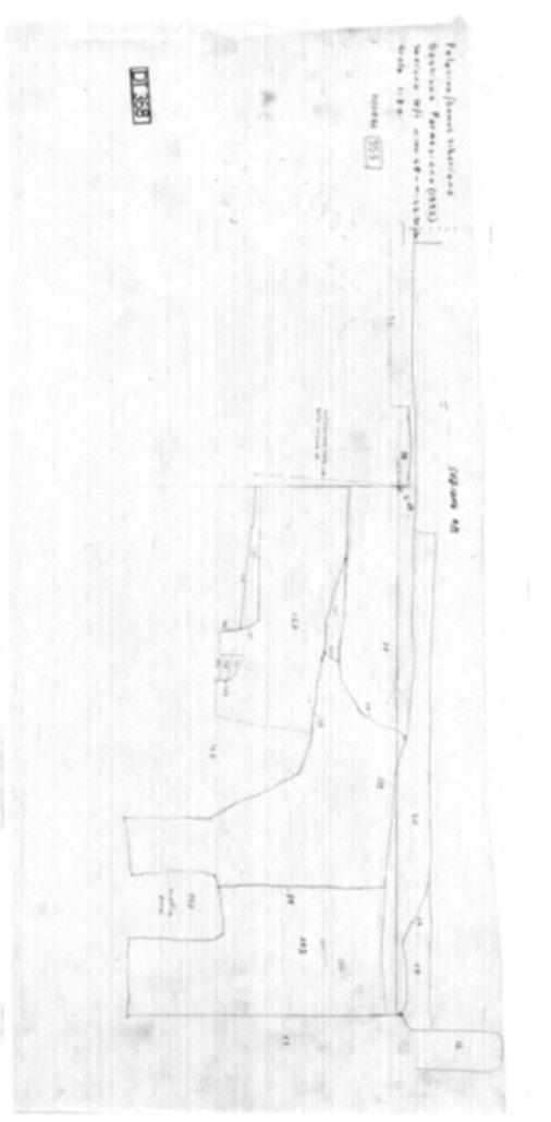 Roma, Palatino. Domus Tiberiana; Bastione Farnesiano