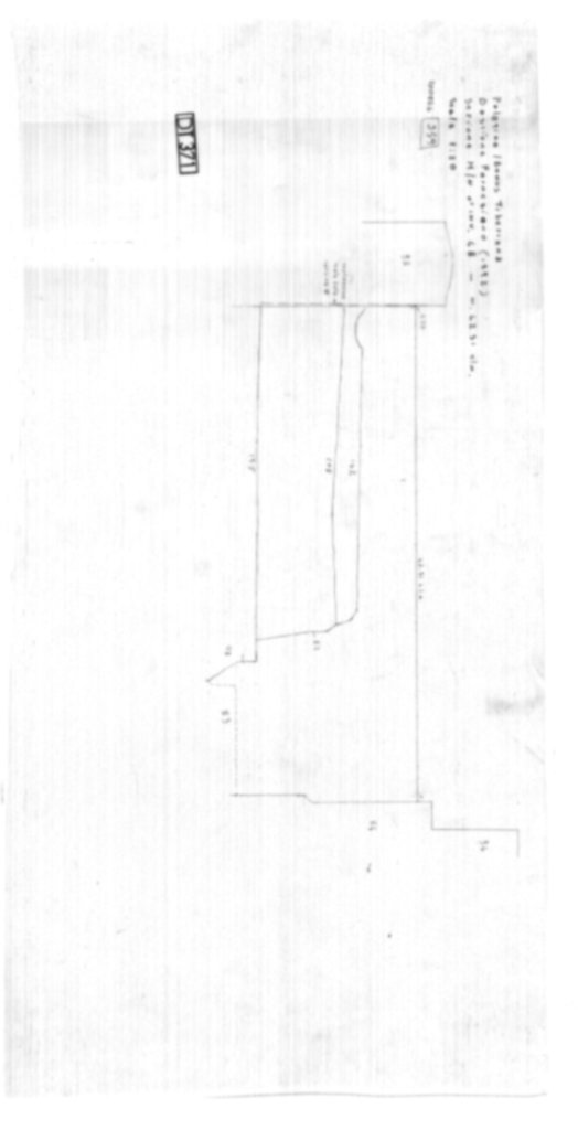 Roma, Palatino. Domus Tiberiana; Bastione Farnesiano