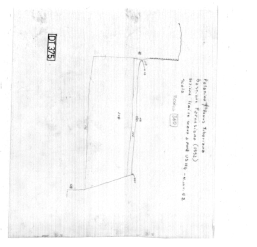 Roma, Palatino. Domus Tiberiana; Bastione Farnesiano