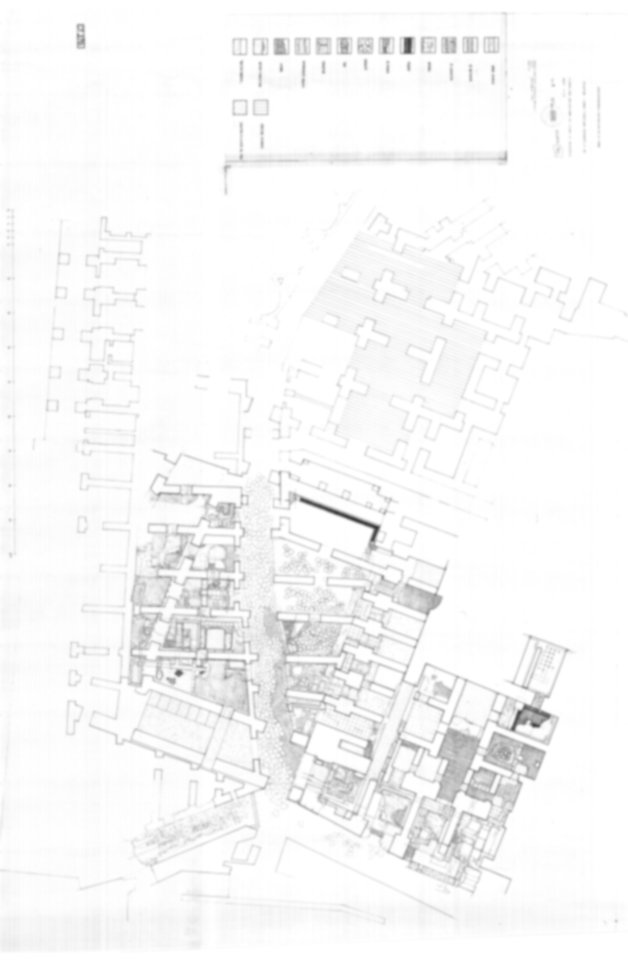 Roma, Palatino. Domus Tiberiana - Settore 9, 12, 13