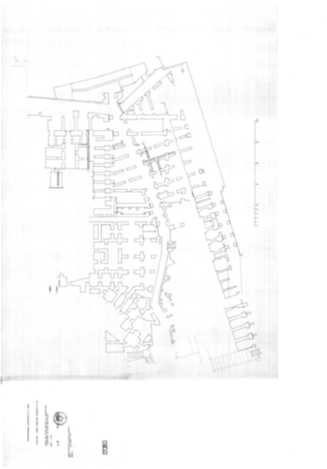 Roma, Palatino. Domus Tiberiana - Settore 9, 12, 13, 14