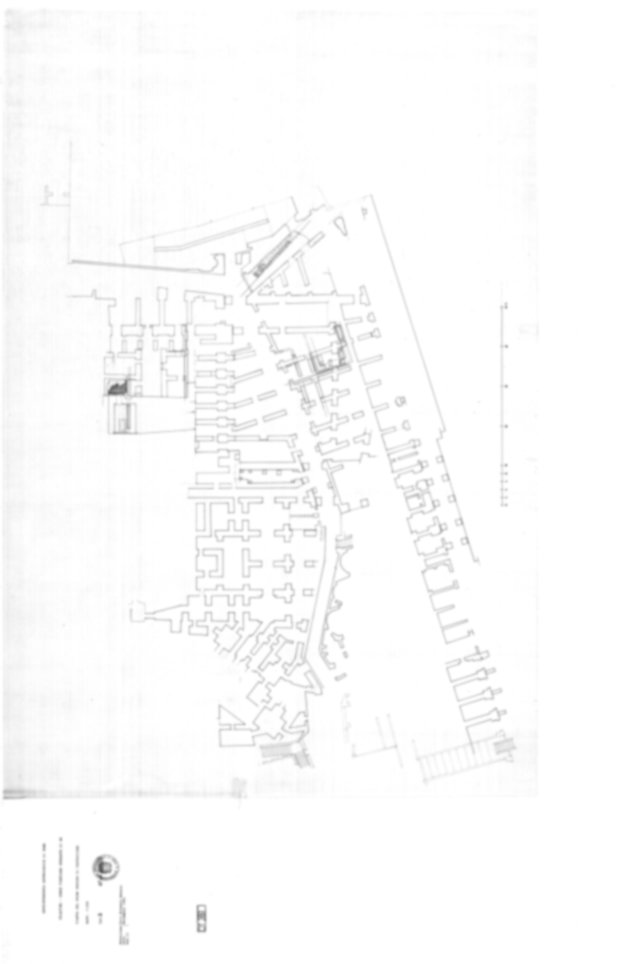 Roma, Palatino. Domus Tiberiana - Settore 9, 12, 13, 14