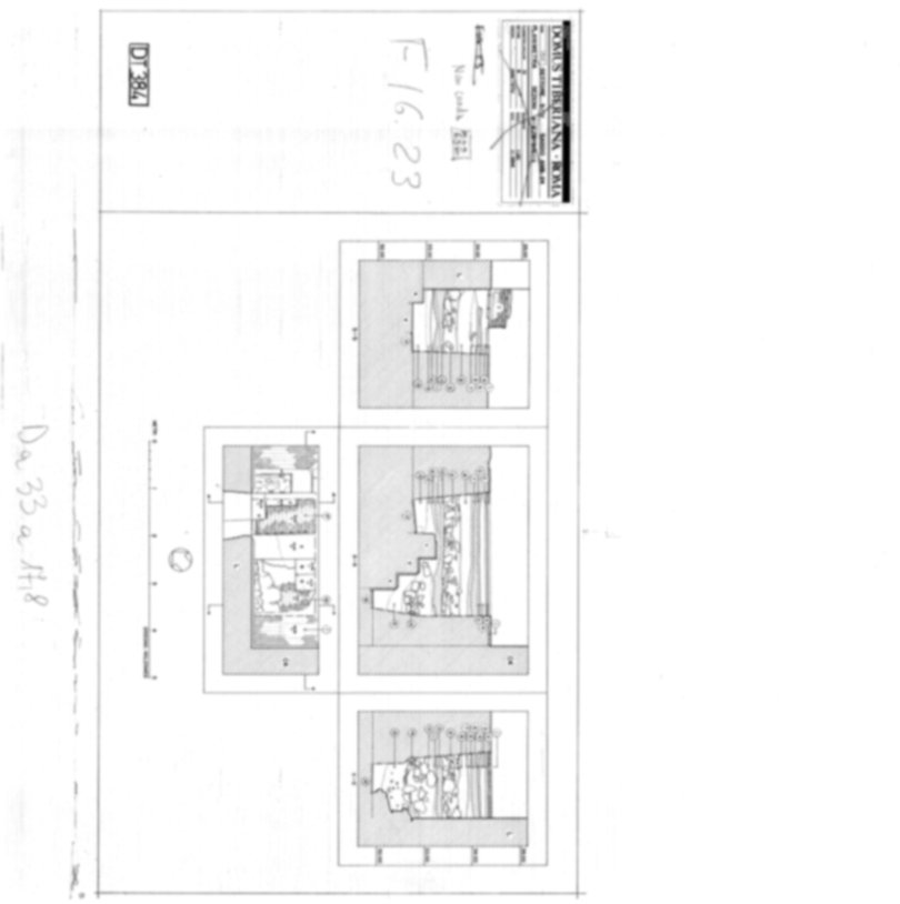 Roma, Palatino. Domus Tiberiana - Settore 9