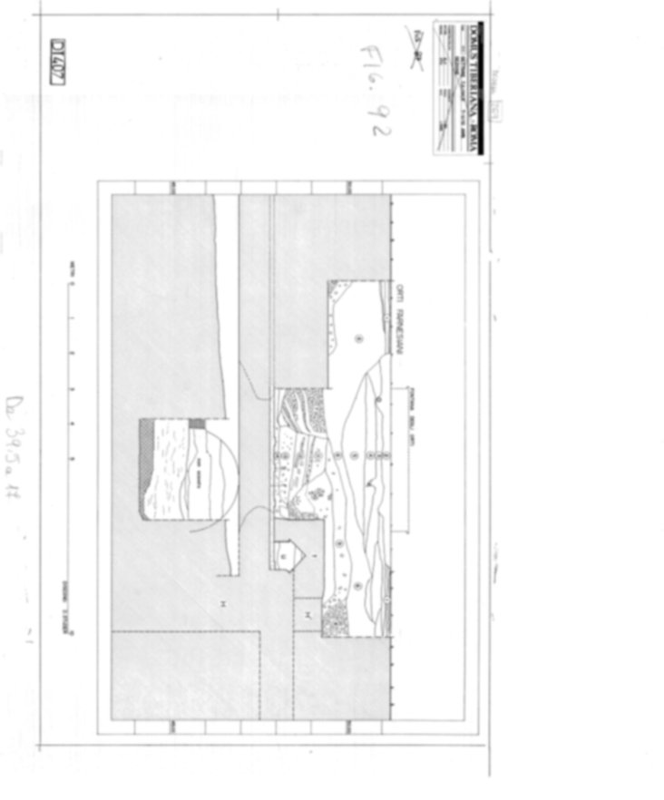 Roma, Palatino. Domus Tiberiana - Settore 7