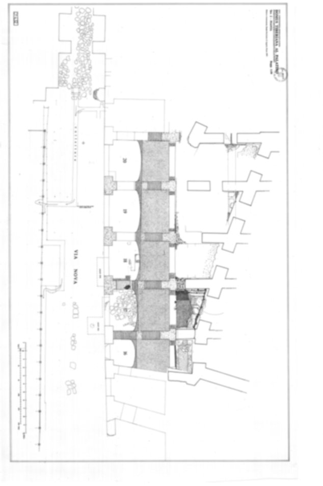 Roma, Palatino. Domus Tiberiana - Settore 13, 17