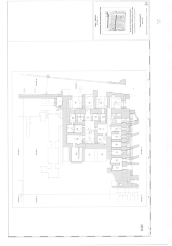 Roma, Palatino. Domus Tiberiana - Settore 9