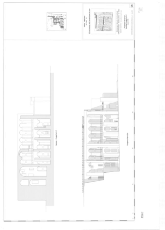 Roma, Palatino. Domus Tiberiana - Settore 9