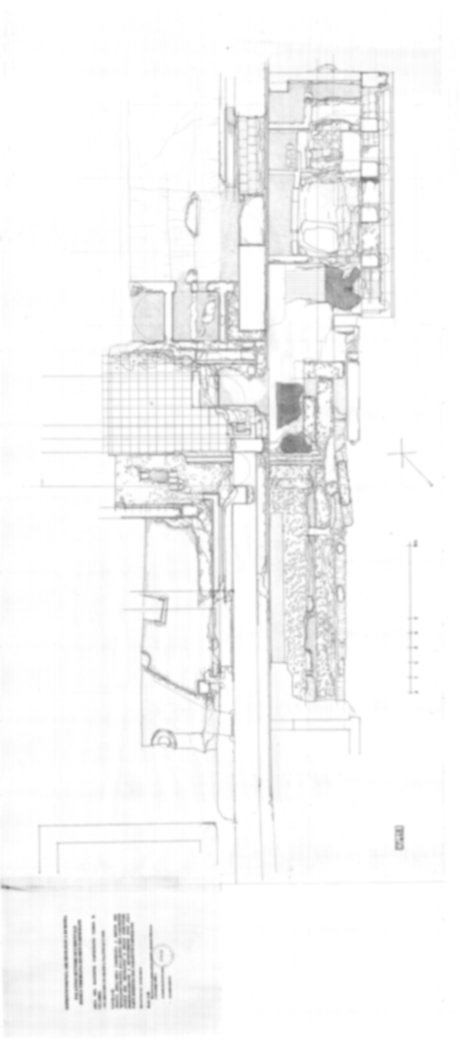 Roma, Palatino. Domus Tiberiana - Settore 3, 6; Orti Farnesiani, Bastione Farnesiano