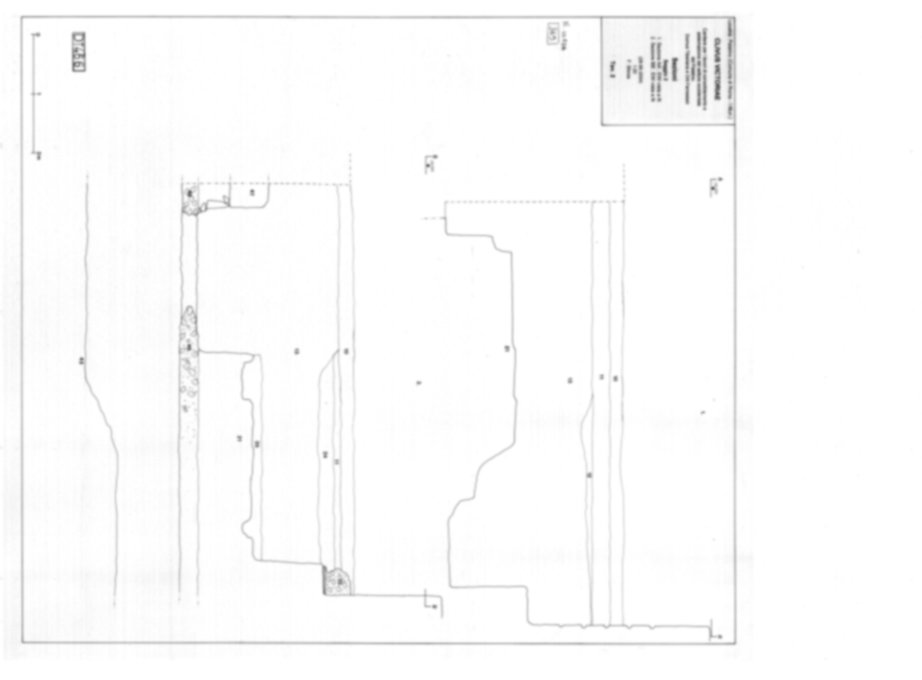 Roma, Palatino. Domus Tiberiana - Settore 6; Orti Farnesiani, Bastione Farnesiano 