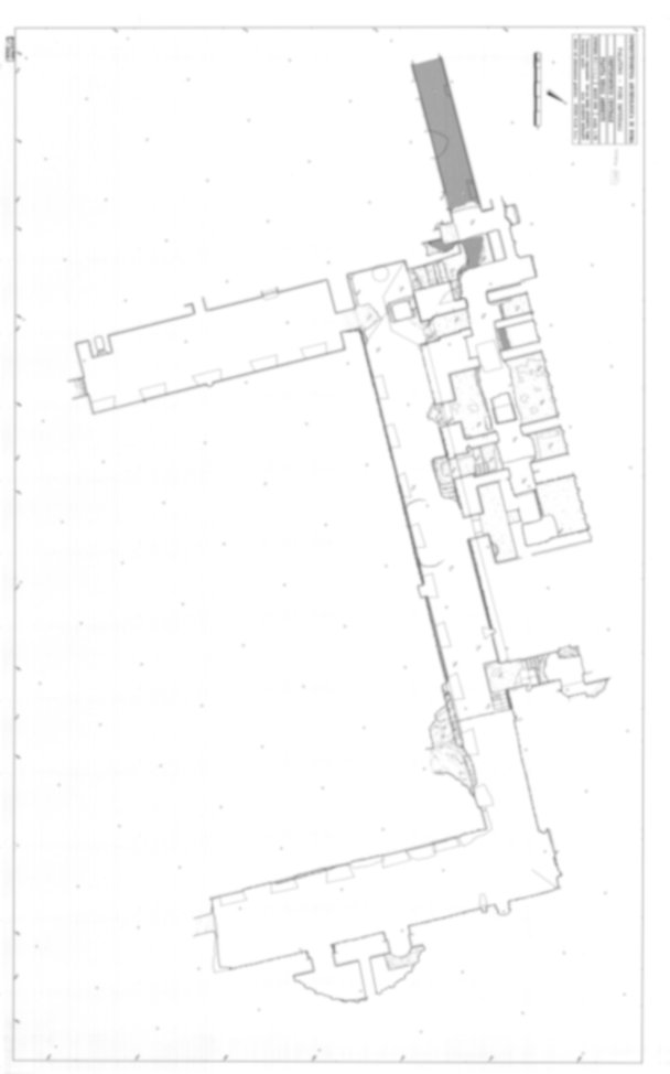 Roma, Palatino. Domus Tiberiana - Settore 5, 6, 8