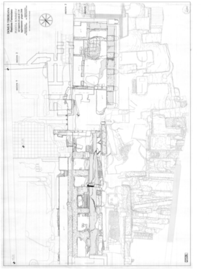 Roma, Palatino. Domus Tiberiana - Settore 3, 29; Orti Farnesiani, Bastione Farnesiano 