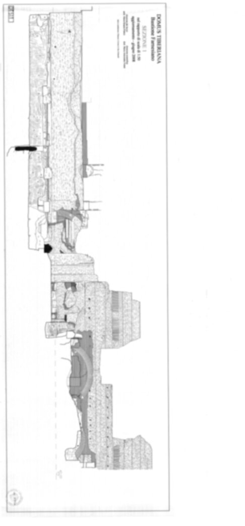 Roma, Palatino. Domus Tiberiana - Settore 3, 29; Orti Farnesiani, Bastione Farnesiano 