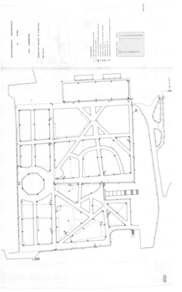 Roma, Palatino. Domus Tiberiana; Orti Farnesiani
