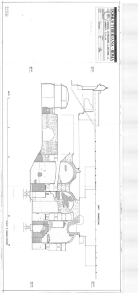 Roma, Palatino. Domus Tiberiana - Settore 11