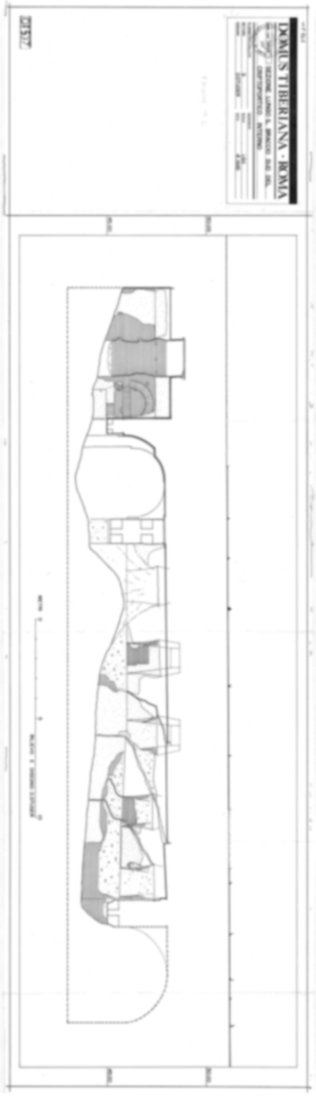 Roma, Palatino. Domus Tiberiana - Settore 5