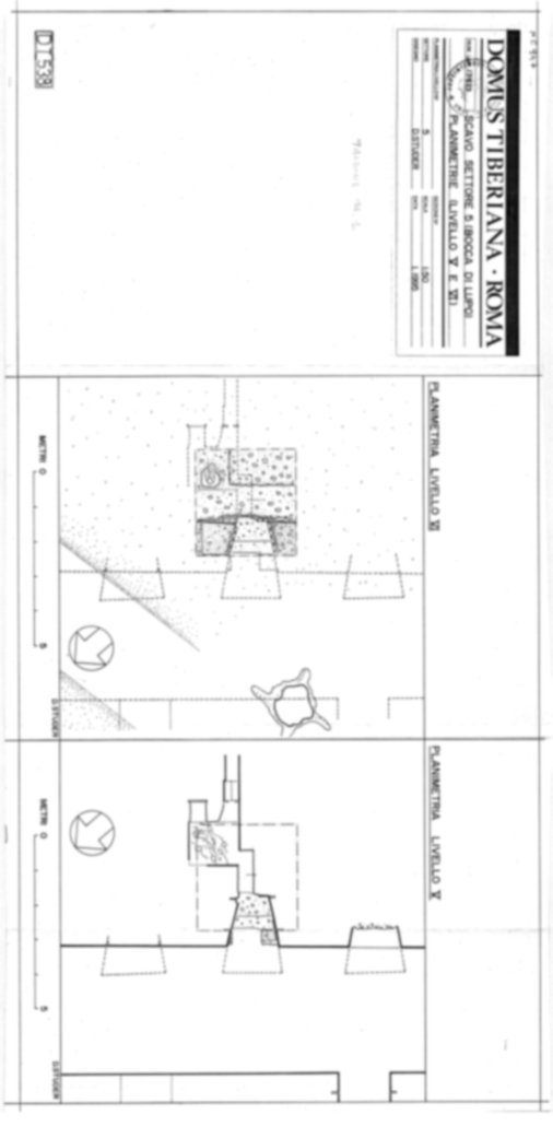 Roma, Palatino. Domus Tiberiana - Settore 5