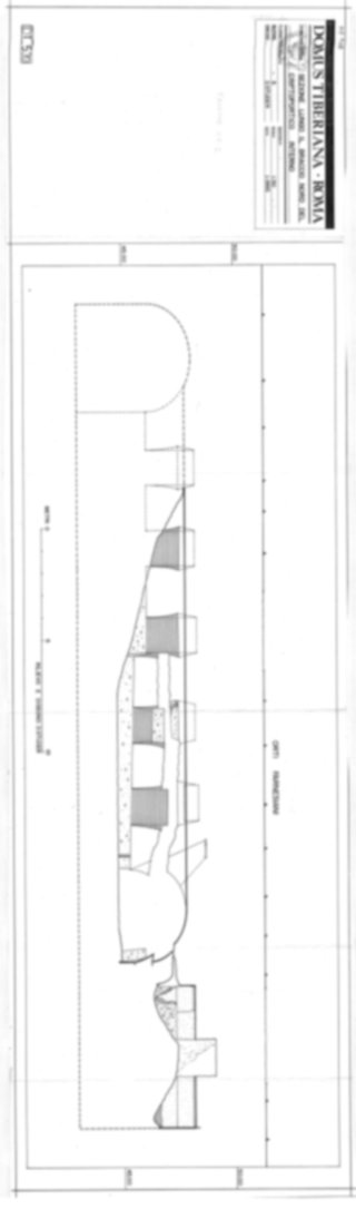 Roma, Palatino. Domus Tiberiana - Settore 5
