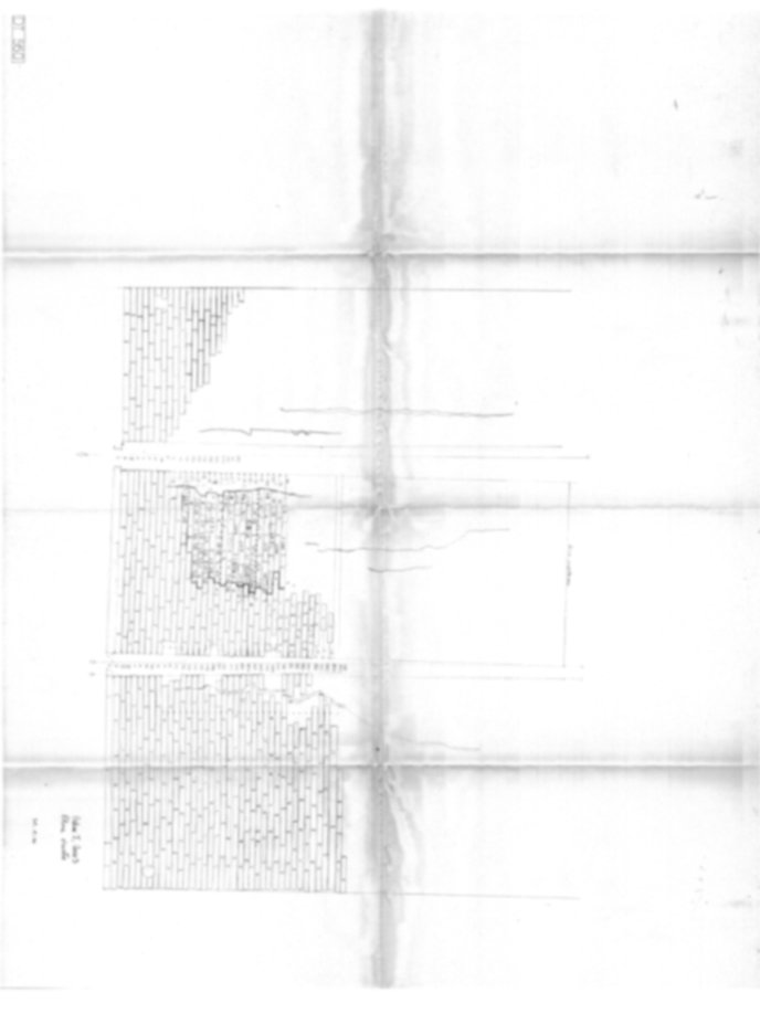 Roma, Palatino. Domus Tiberiana - Settore 13