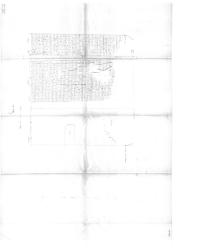 DT561 - Roma, Palatino. Domus Tiberiana - Settore 13