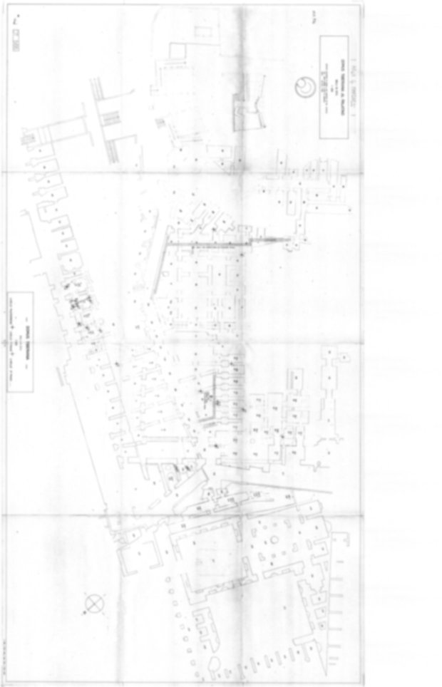 Roma, Palatino. Domus Tiberiana
