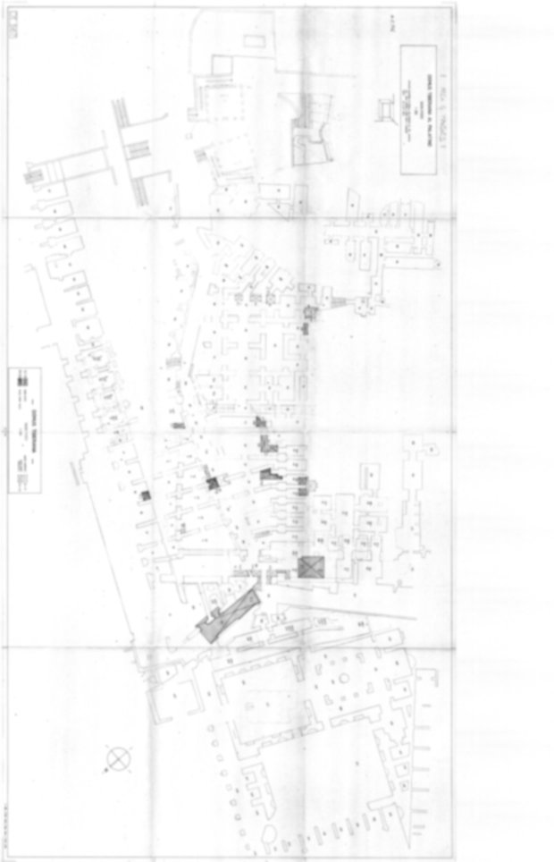 Roma, Palatino. Domus Tiberiana