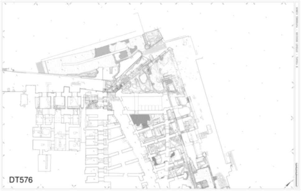 Roma, Palatino. Domus Tiberiana - Settore 9, 13, 14, 17