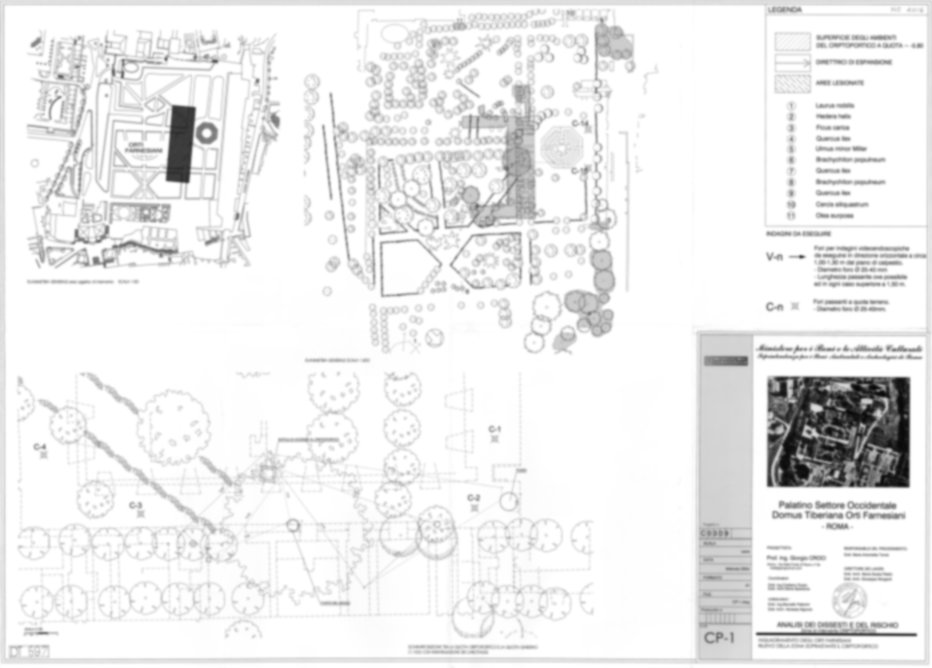Roma, Palatino. Domus Tiberiana - Settore 2, 3, 5, 6