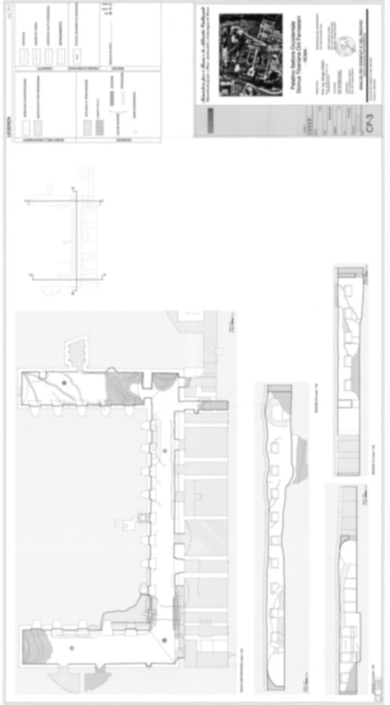 Roma, Palatino. Domus Tiberiana - Settore 2, 3, 5, 6