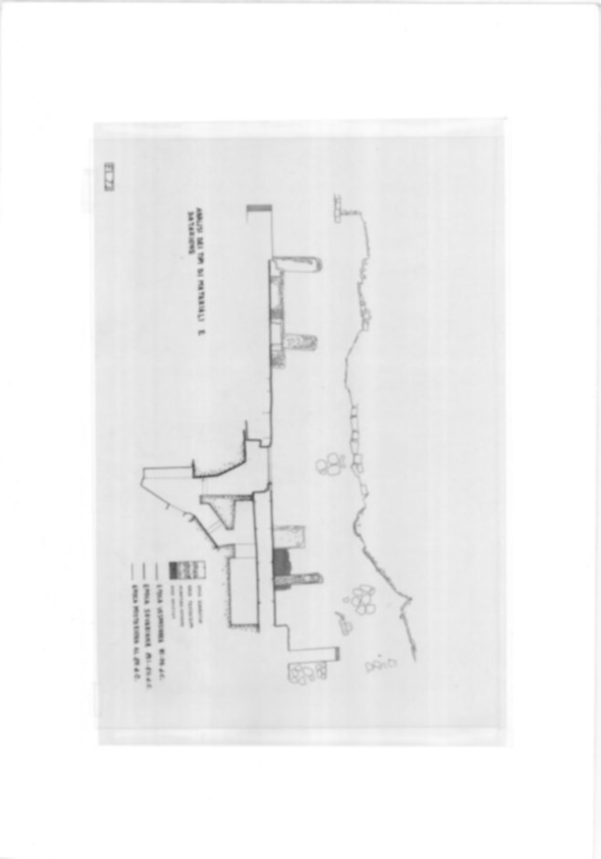 Roma, Fori imperiali. Templum Pacis
