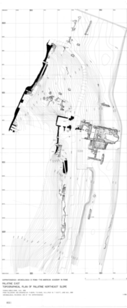 Roma, Palatino. Pendici orientali. Domus tardoantica