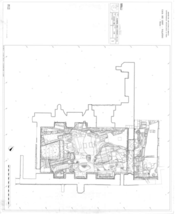 Roma, Palatino. Palazzi Imperiali. Casa dei Grifi