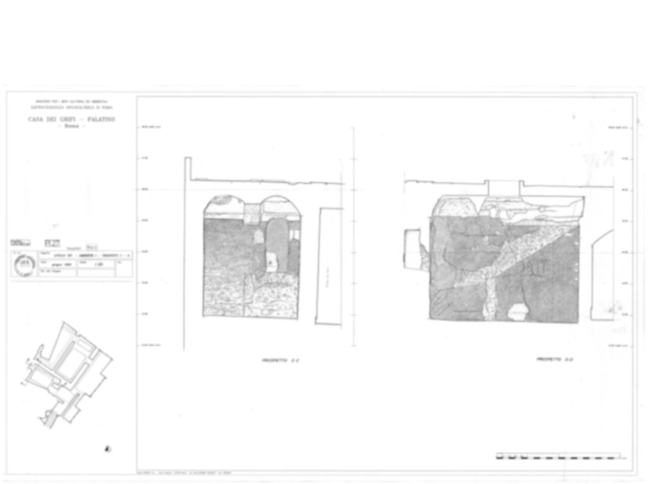 13367 - Roma, Palatino. Palazzi Imperiali. Casa dei Grifi