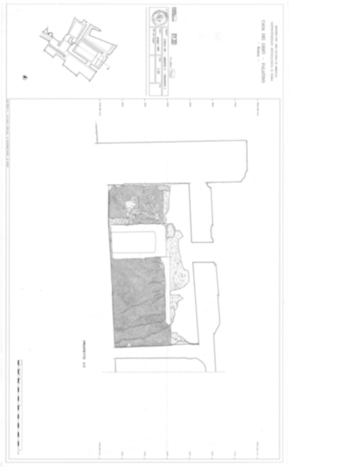 Roma, Palatino. Palazzi Imperiali. Casa dei Grifi