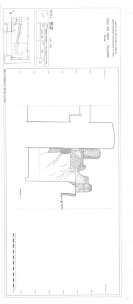 Roma, Palatino. Palazzi Imperiali. Casa dei Grifi