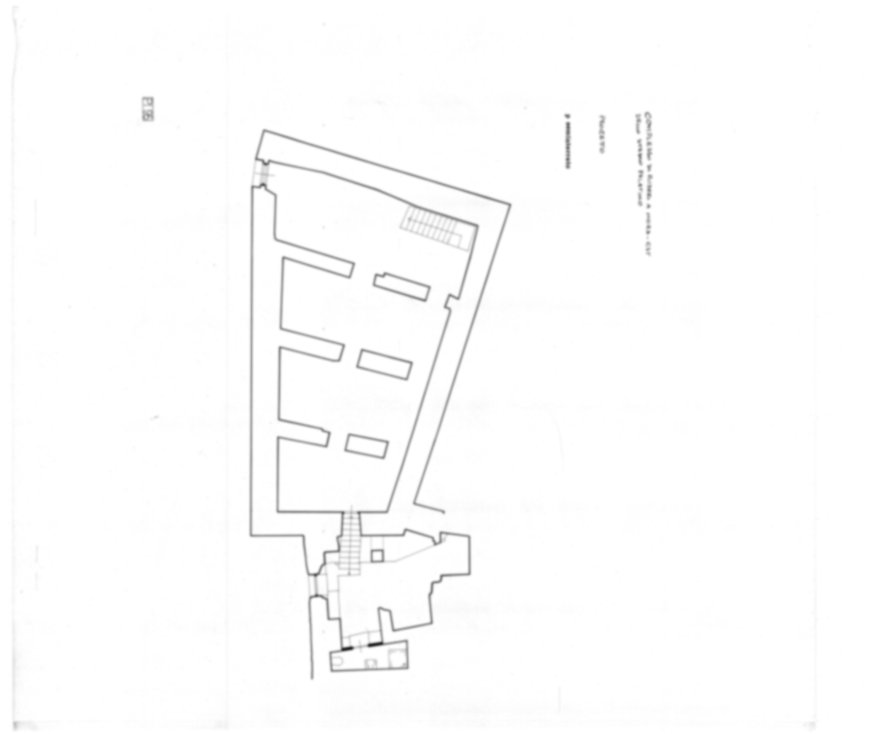 Roma, Palatino. Palazzi Imperiali. Domus Augustana, Magazzino Schifani