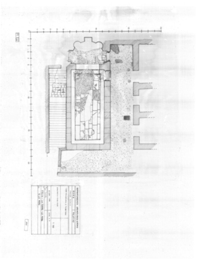 Roma, Palatino. Palazzi Imperiali. Domus Flavia