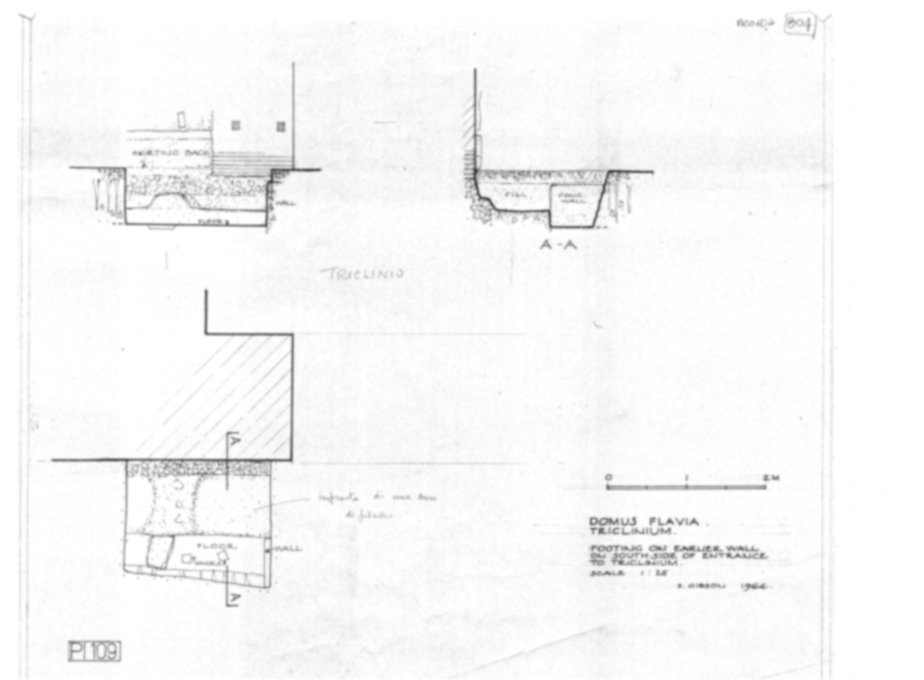 Roma, Palatino. Palazzi Imperiali. Domus Flavia