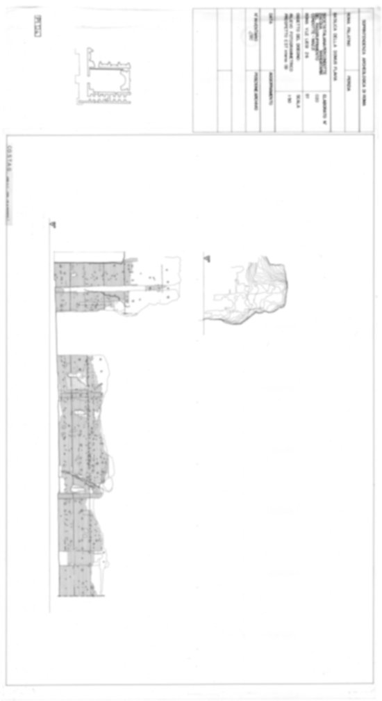Roma, Palatino. Palazzi Imperiali. Domus Flavia - Basilica