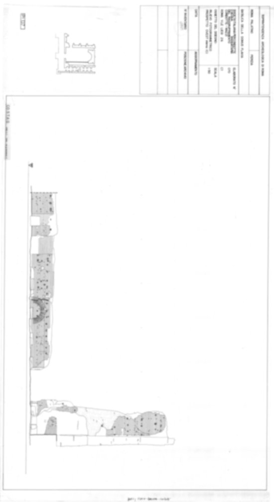 Roma, Palatino. Palazzi Imperiali. Domus Flavia - Basilica