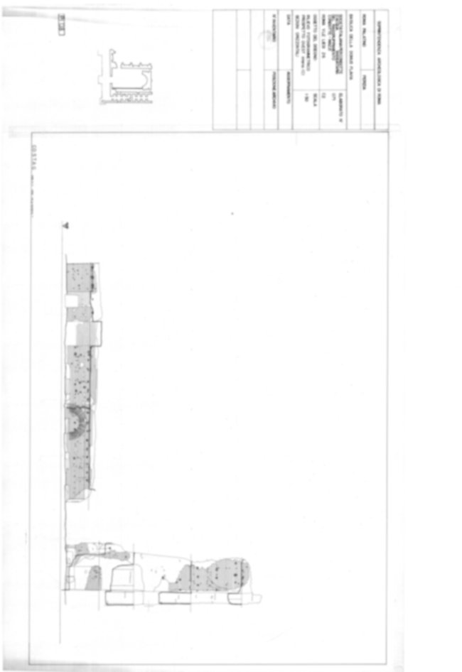 Roma, Palatino. Palazzi Imperiali. Domus Flavia - Basilica