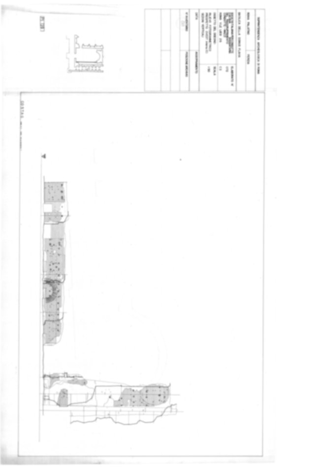 Roma, Palatino. Palazzi Imperiali. Domus Flavia - Basilica